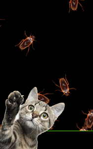 Cockroach Simulator - Cat Toys