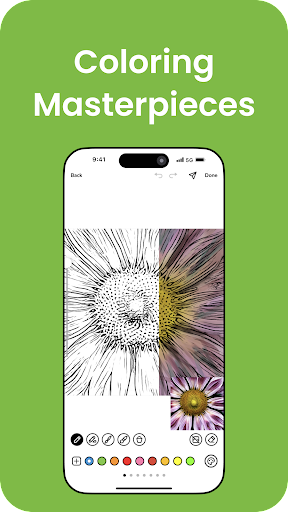 Colorscape Screen 2