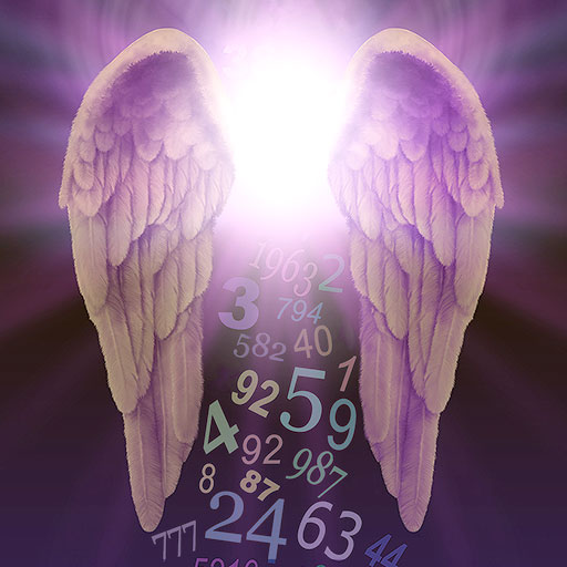 Angel Number Signs Logo