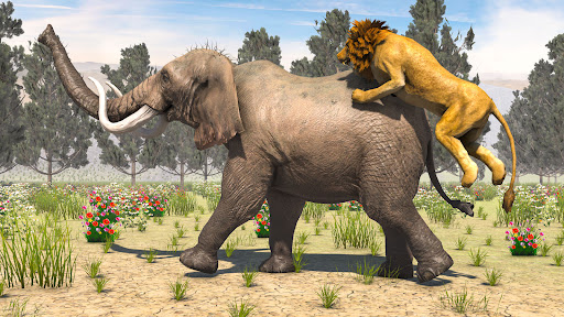 Wild Lion: Lion Simulator Game 2