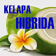 How to Grow Complete Hybrid Coconut Download on Windows