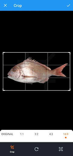 FishLens Screen 3