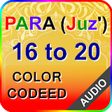 Color Coded PARA 16 to 20 with Audio icon