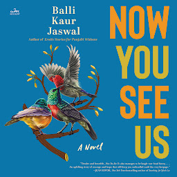 Icon image Now You See Us: A Novel