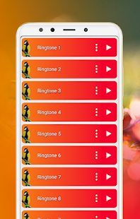Best Birds Ringtones 2020 & Bird Sounds(圖3)-速報App