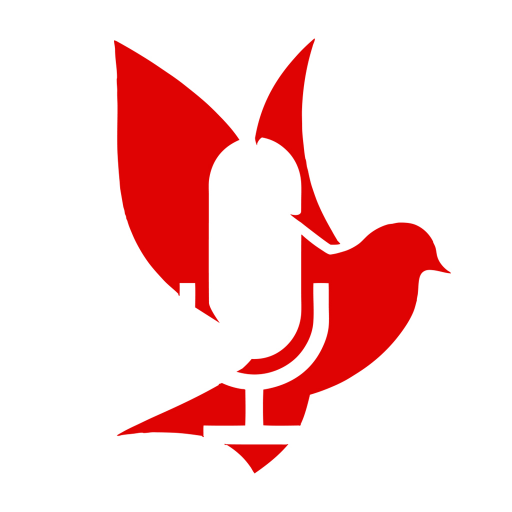ShalomShalom.radio logo
