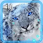 Cover Image of 下载 Snow Leopard Live Wallpaper 1.2 APK