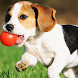 Dog Jigsaw Puzzle Family Games - Androidアプリ