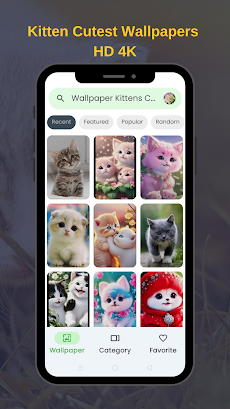 Kitten Cutest Wallpapers HD 4Kのおすすめ画像1