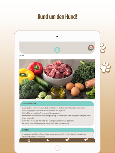 Hunde Pfoten Balance