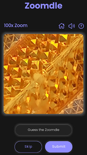 Zoomdle Screen 2