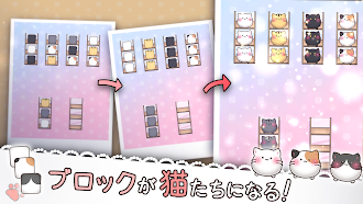 Game screenshot 猫はソファが好き - Sort the Cats hack