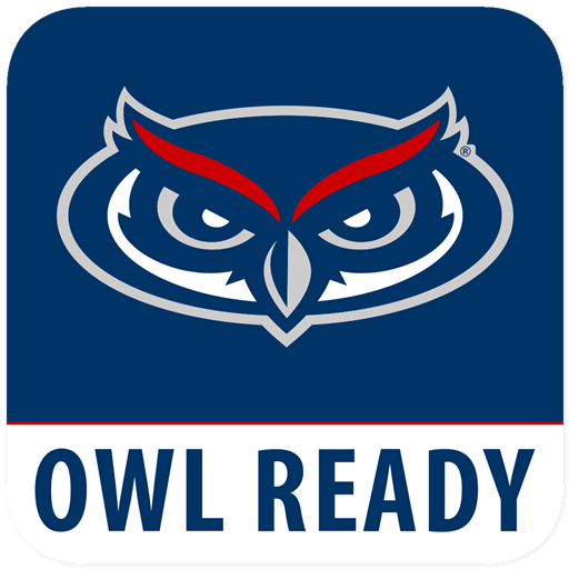 Owl Ready logo