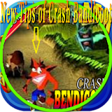New Tips of Crash Bandicoot icon