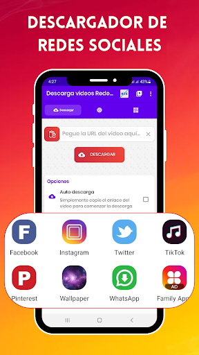 Descargador de videos Screen 2