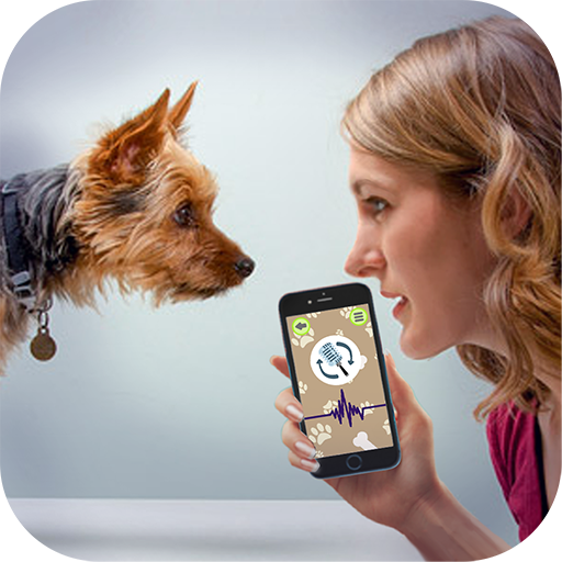 Cachorros Mundo: Meninas Jogo – Apps no Google Play