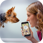 Dog Language Translator Simulator - Talk to Pet 1.4
