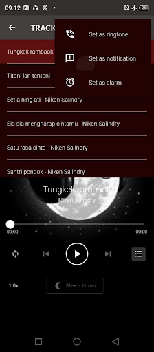 Lamunan Niken Salindry