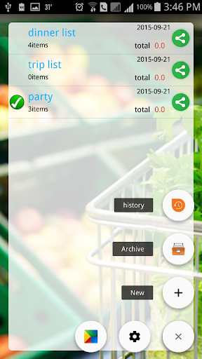 AO Shopping List Screen 2