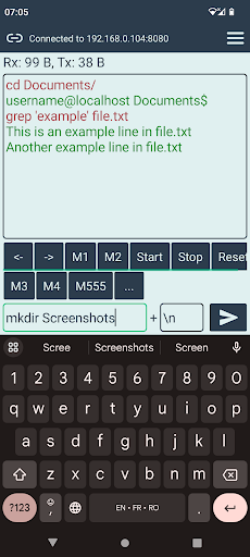TCP Terminal Pro Screen 3