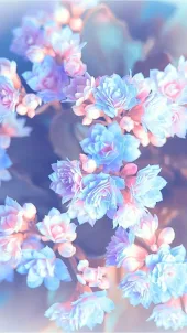 Blumen -Hintergrundbilder