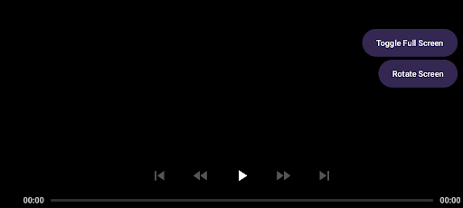 LiteVidPlayer LVPlayer Screen 2