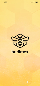 Team Budimex