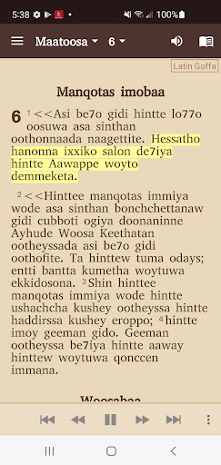 Goffa Bible Screen 3