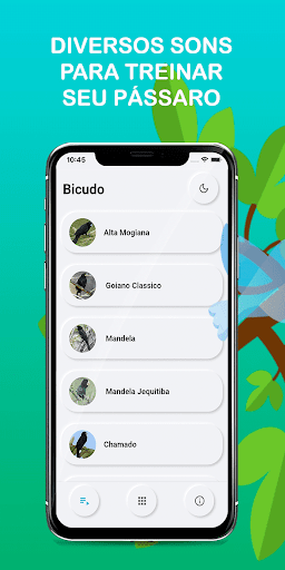 Android application Beaked bird singing screenshort