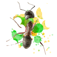 Ant and fly Smasher