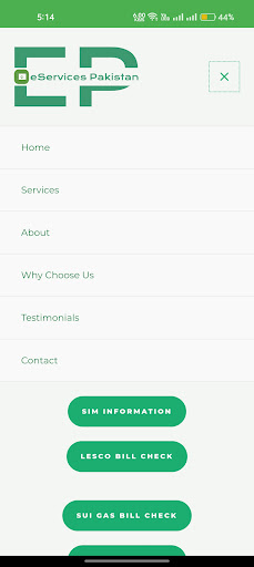 eServices Pakistan Screen 2