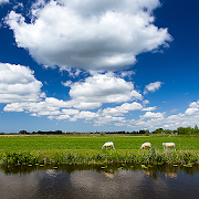 Weather in Holland: the app