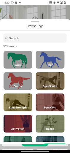 EqueSoul Screen 3