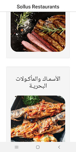 Sollus Menu Screen 3