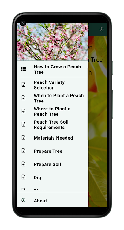 How to Grow a Peach Tree - 2.0.0 - (Android)