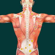 Acupressure Point Guide