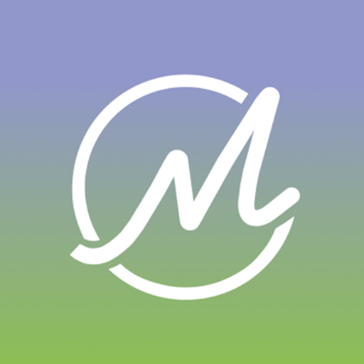 МегаСеть logo