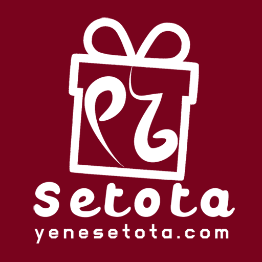 YeneSetota logo