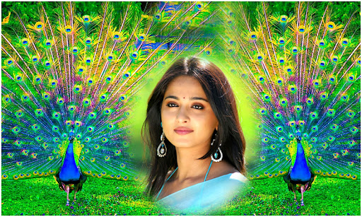 Beautiful Peacock Photo Frames Screen 2