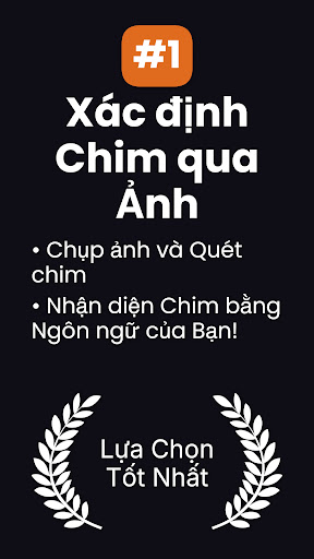 Bản xem trước ứng dụng