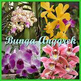 Assorted Flowers Orchids icon