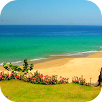 Cover Image of Download Sandy Beach Video Wallpaper  APK