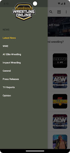 Wrestling-Online.com Screen 3