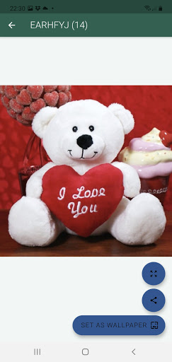 Teddy Bears Day Screen 3