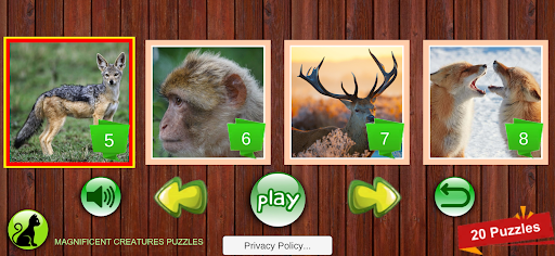 Magnificent Creatures Puzzles