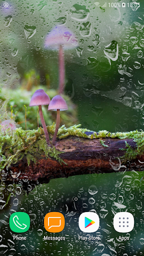 Android application Autumn Live Wallpaper HD screenshort