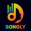 Songly - Lyrical Status Maker