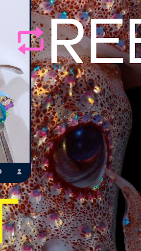 Tumblr screenshot 6