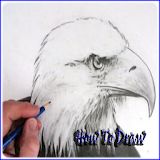 How to Draw an Eagle icon