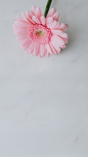 Pink Wallpapers Screen 3